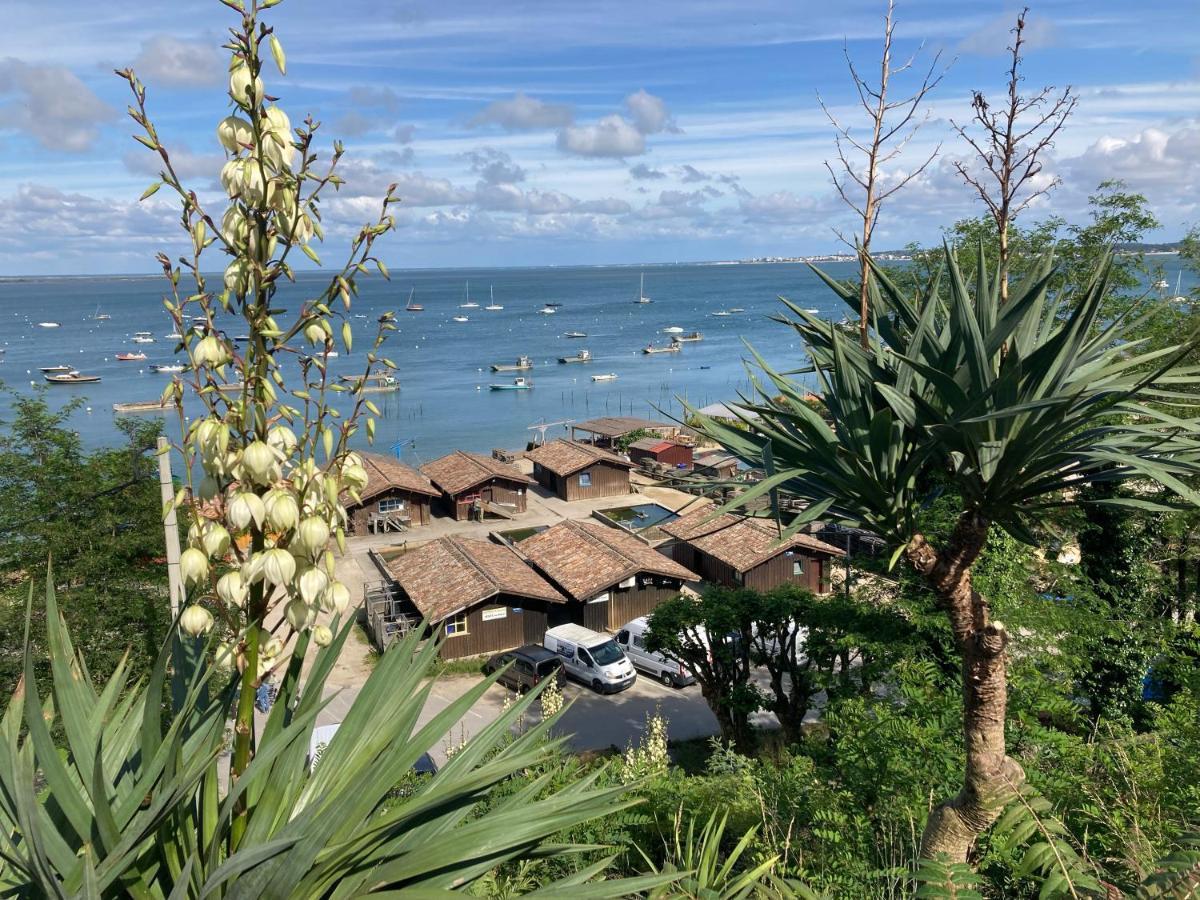 Village Seasonova Bassin D'Arcachon Audenge Kültér fotó